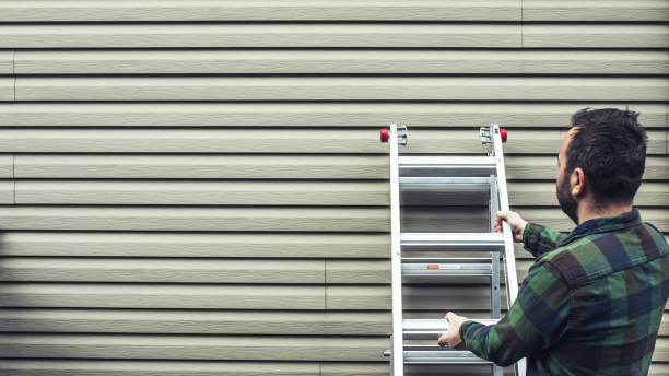 Best Steel Siding Installation  in Clovis, CA