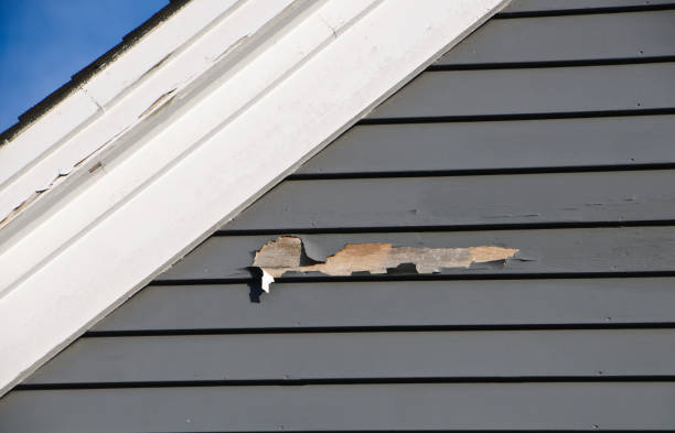 Best Insulated Siding Installation  in Clovis, CA